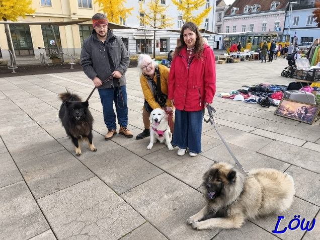 2.11.2025 - Gruppenbild mit Lilly